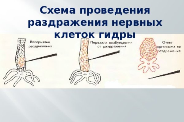Kra36.gl
